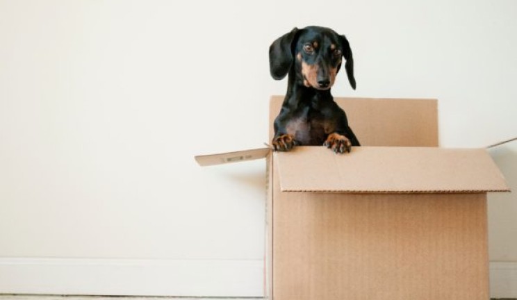 3 Things to Consider When Choosing the Best 3PL Company